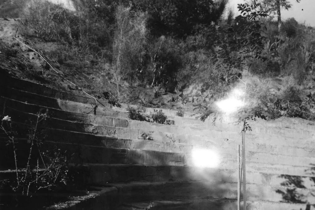 argus bowl 1961 photo